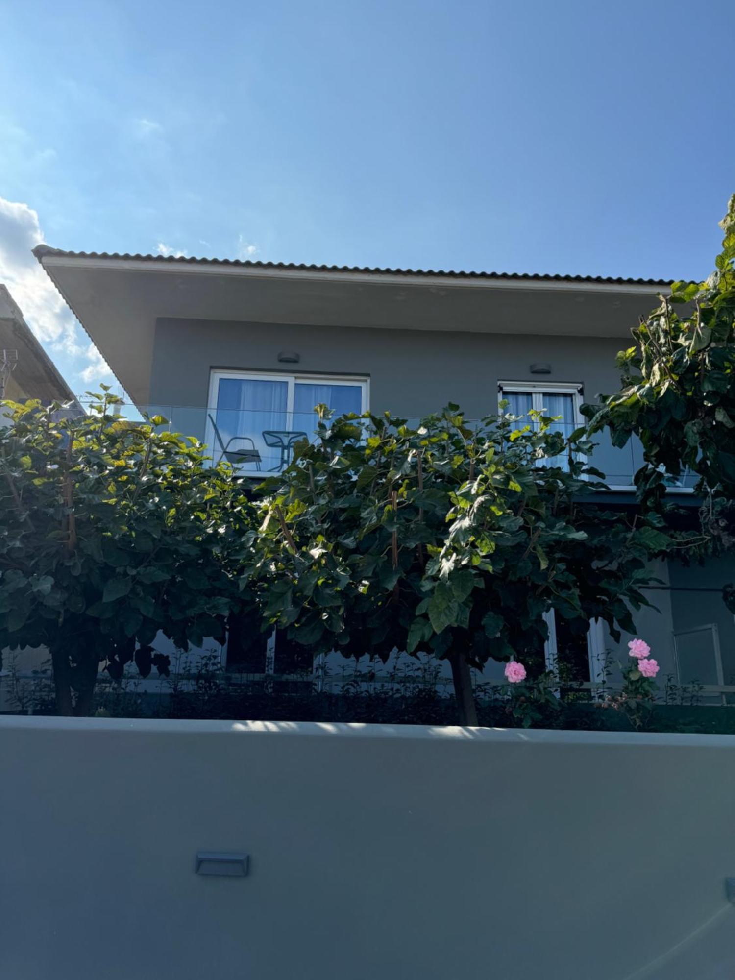 Artemis Apartments Diakopto Buitenkant foto
